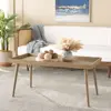 Safavieh Home Nonie Modern Chocolate Tray Top Coffee Table 2