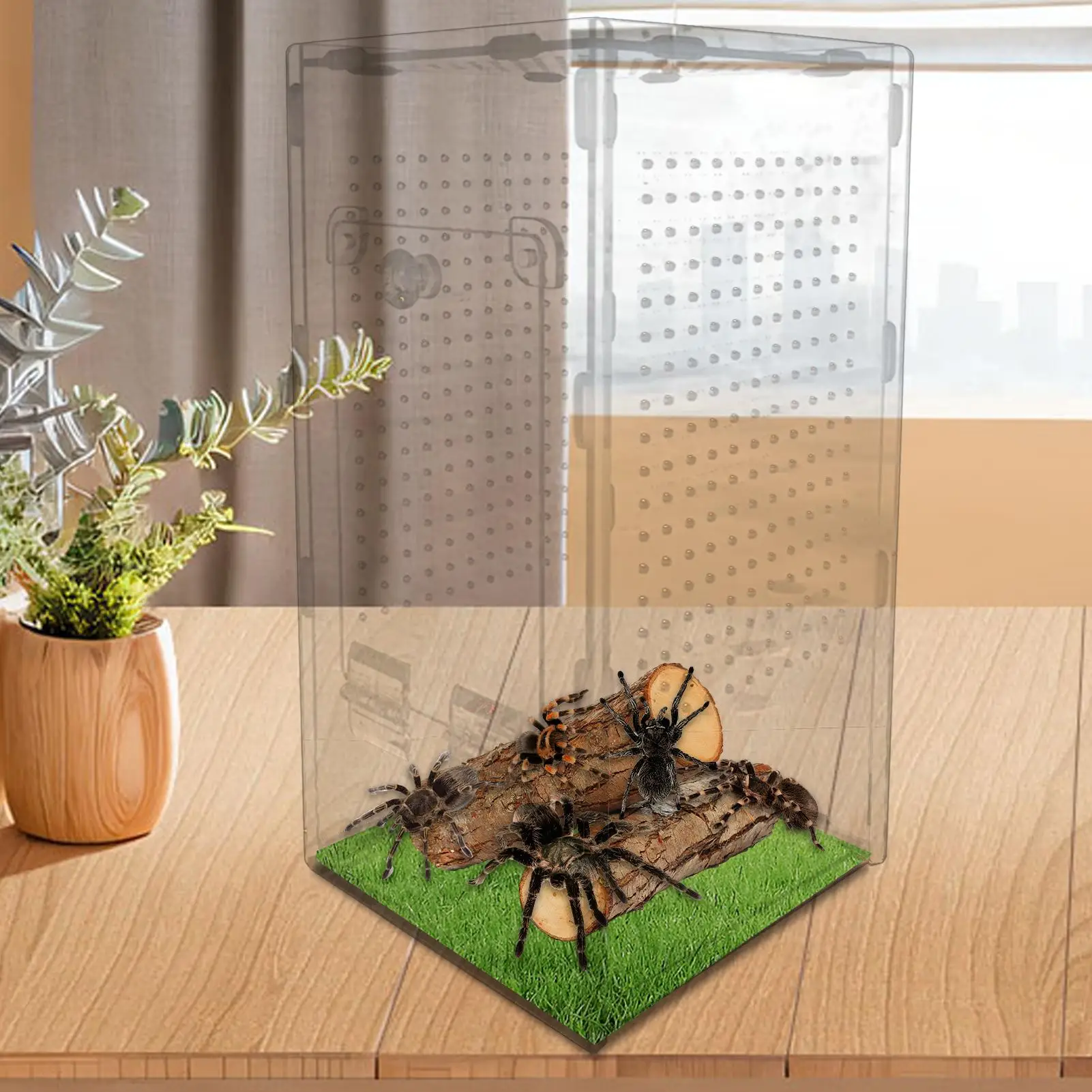 Spider Terrarium Cage 1