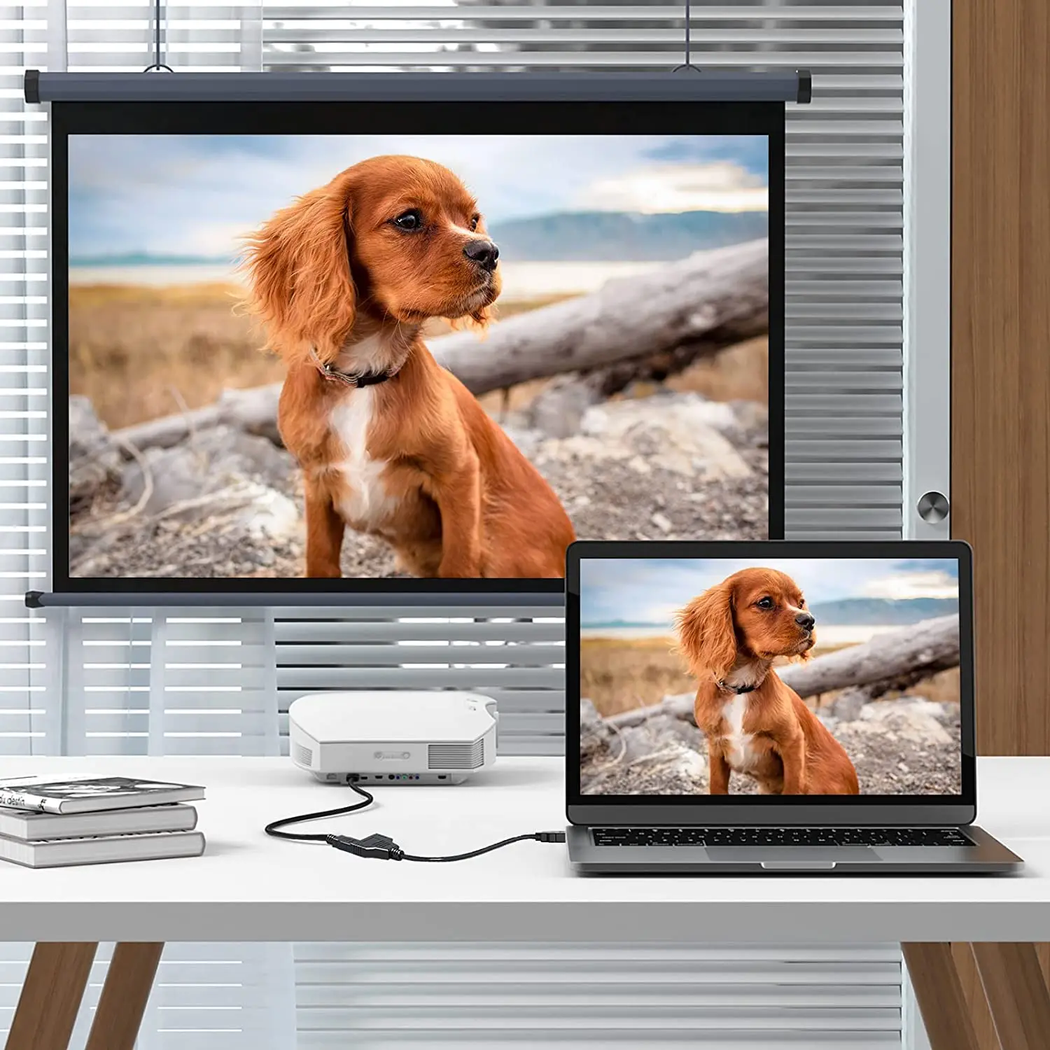 HDMI ̺ 1080P HDMI й ̺ Male to 2 Female 1 in 2 Out й ̺ , HDMI HD LED TV ȣ 1 in 2 Out