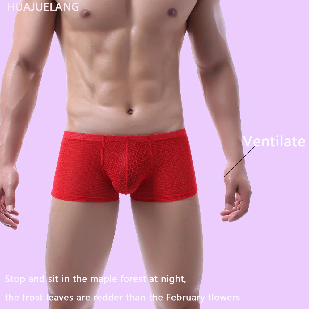 

Men's Underpants Boxer Breathable Transparent Mesh Panties Horny Man Low Waist Sexy Gay Men Boxer Shorts Bulge Pouch Underwear
