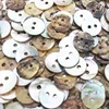 100PCS 11/15/18/20mm Natural Shell Sewing Buttons Color Japan Mother of Pearl MOP Round Shell 2 Hole Button Sewing Accessories 1