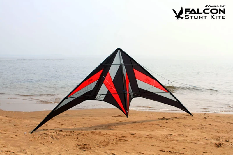 250cm Professional Stunt kite Falcon kites flying Ballet Formation Kite factory Freilein kite dual line for adults Power kite 4