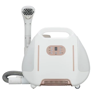 Idropulitrice a vapore professionale per auto portatile con aspirapolvere per divano, moquette, casa 1