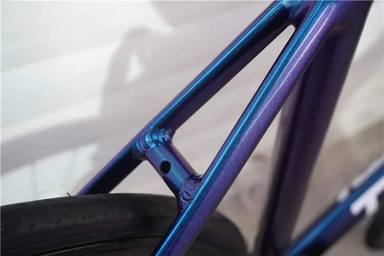 Chameleon Frame TSUNAMI SNM100 Fixie Frame Single Speed Fixed Gear
