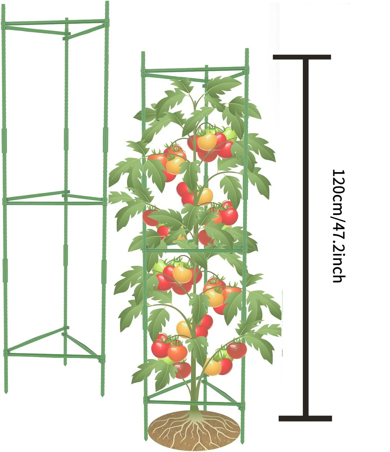 

Tomato Cage, Up To 51 Inches Of Plant Stakes Vegetable Grids Assembled For Garden Climbing Plants Vegetables Flowers