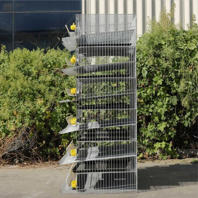 Quail Cages For Sale South Africa Sale