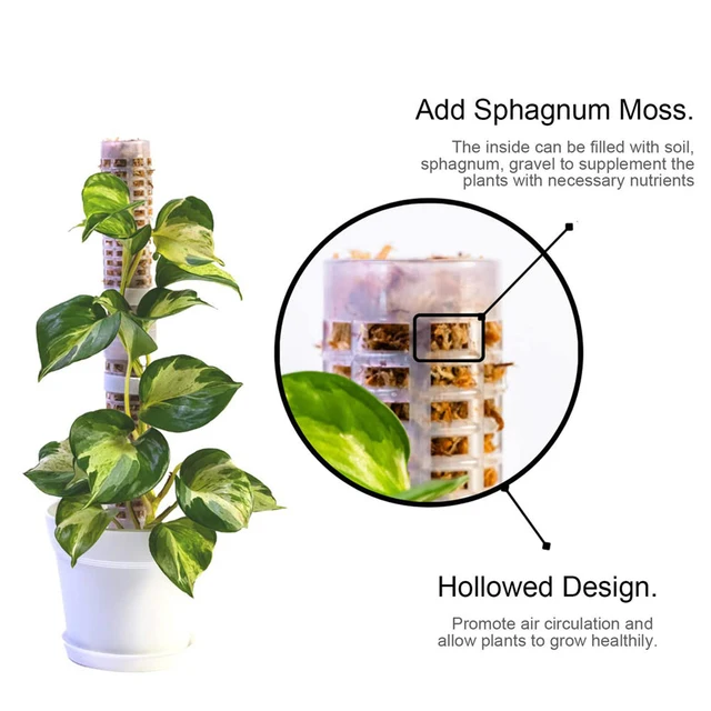 Moss Pólus Hegymászó Növények Növénytámogatás A Mászáshoz Beltéri Cserepes Növény Egymásra Rakható Pvc Növényi Tartó Tétek Monstera Szerszámok - Image 4