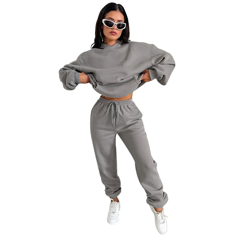 

Women's Monochromatic Tracksuit Set, Long Sleeved Hooded Sweatshirt, Fleece Sweater, Casual Sport Suit, Autumn, Winter, 2 Pieces
