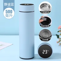 Temperature Display Insulated Vacuum Flask Replaceable Battery Thermos Cup Double Wall Steel Water Bottle Sports Thermos Bottle 5