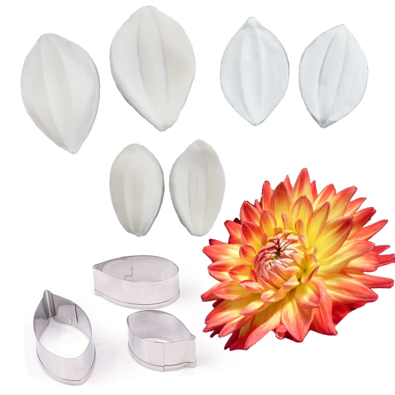 Store Home Products ChoiceDay Feedback