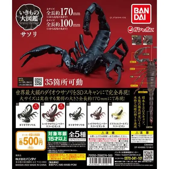 【玩具】 スコーピオンクロス フィギュア ジェミニ クロス付 BABANDAI Amazon.com: Bandai Hobby - Gundam Build Metaverse - #03 F
