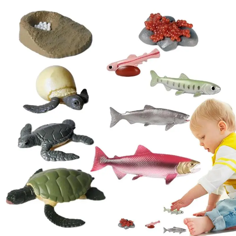 

Life Growth Cycle Simulation Sea Turtle Salmon Fish Action Figures Animal Model Baby Educational Miniature Kids Toy 9PCS/Set