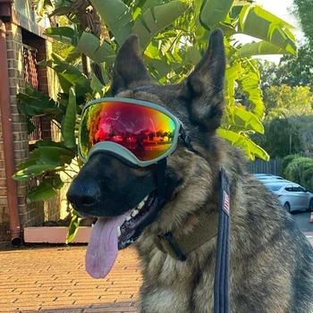 UV Dog Goggles 1