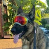 Dog Goggles Sunglasses Anti-UV Sun Glasses Eyewear Protection Adjustable Windproof Sunglasses Pet Dog Supplies For Travel 1