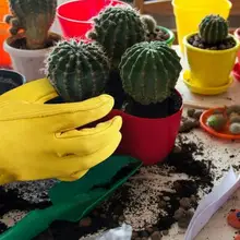 

Long Gardening Gloves for Men and Women, Hawthorn Proof Breathable Leather Mittens, Rose Pruning, Heavy O5V5