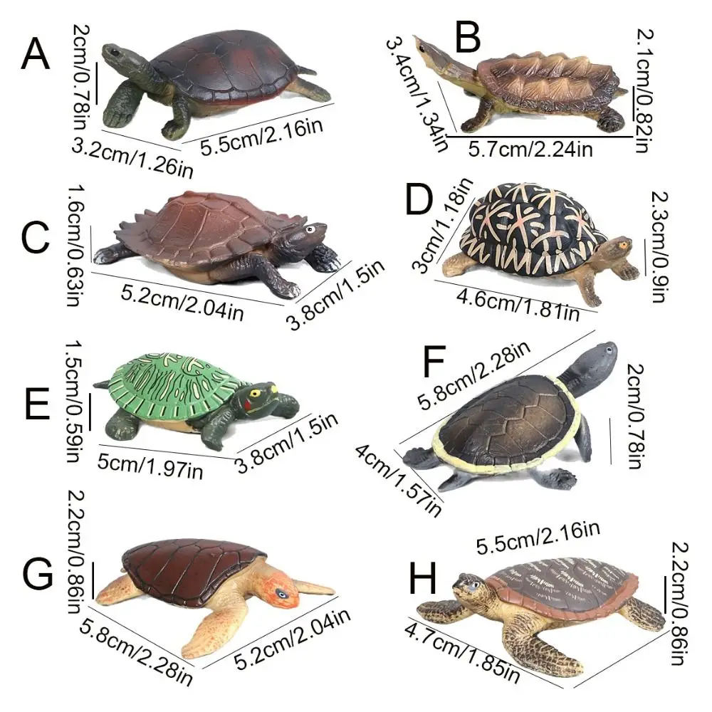 Realistic Miniatures Marine Life Sea Turtle Model Ocean Animal Tortoise Figurines Aquarium Decoration Fish Tank Accessories Toys fish tank ornaments fish tank decorations aquarium ornaments