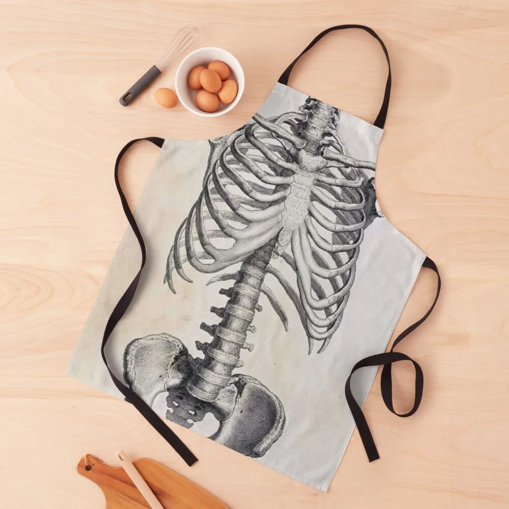 

Ribs and such Apron kitchen utensils cute kitchen wear