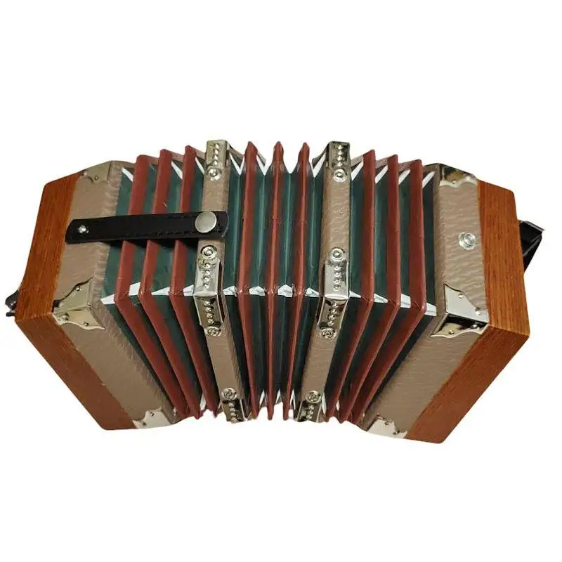Fisarmonica Professionale A Fisarmonica A 20 Tasti Stile Anglo A 40 Lamella Con Borsa Per Il Trasporto Strumenti Musicali A Fisarmonica