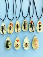 Gothic Vintage Necklace Scorpion Spider Ant Charm Resin Necklace Fashion Real Insect Specimen Jewelry Gift Rope Chain Choker New 1