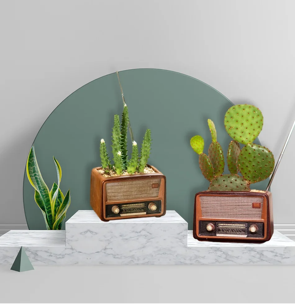 

Radio Design Decorations, Flower Pots, Home Furnishings, Personalized Multi-purpose Potted Plants, Creative Retro Resin Crafts