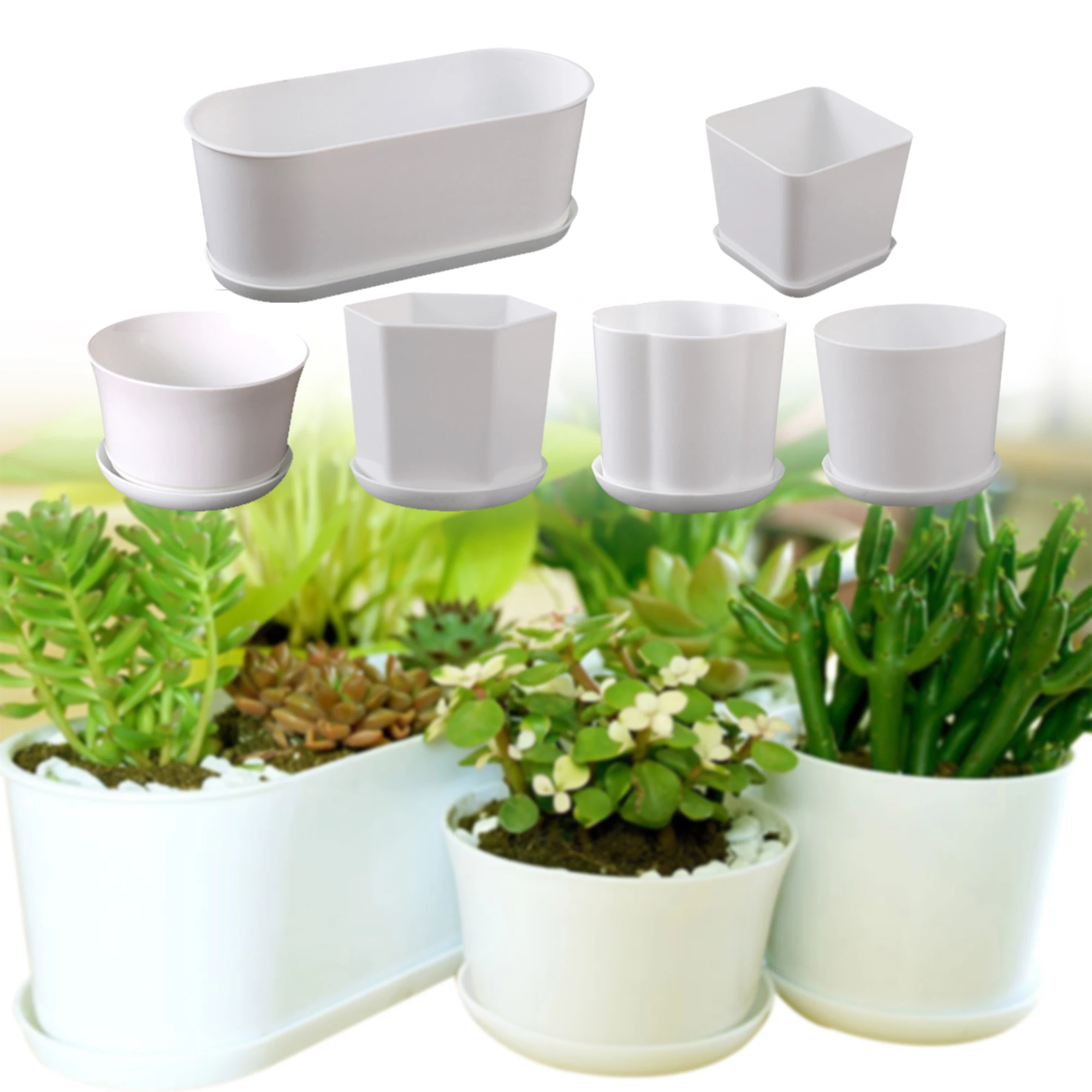 5Pcs White Simplicity Flower Pot With Tray Home Garden Office Minimalist Bonsai Pot Furnishings Small Succulent Plants Planter