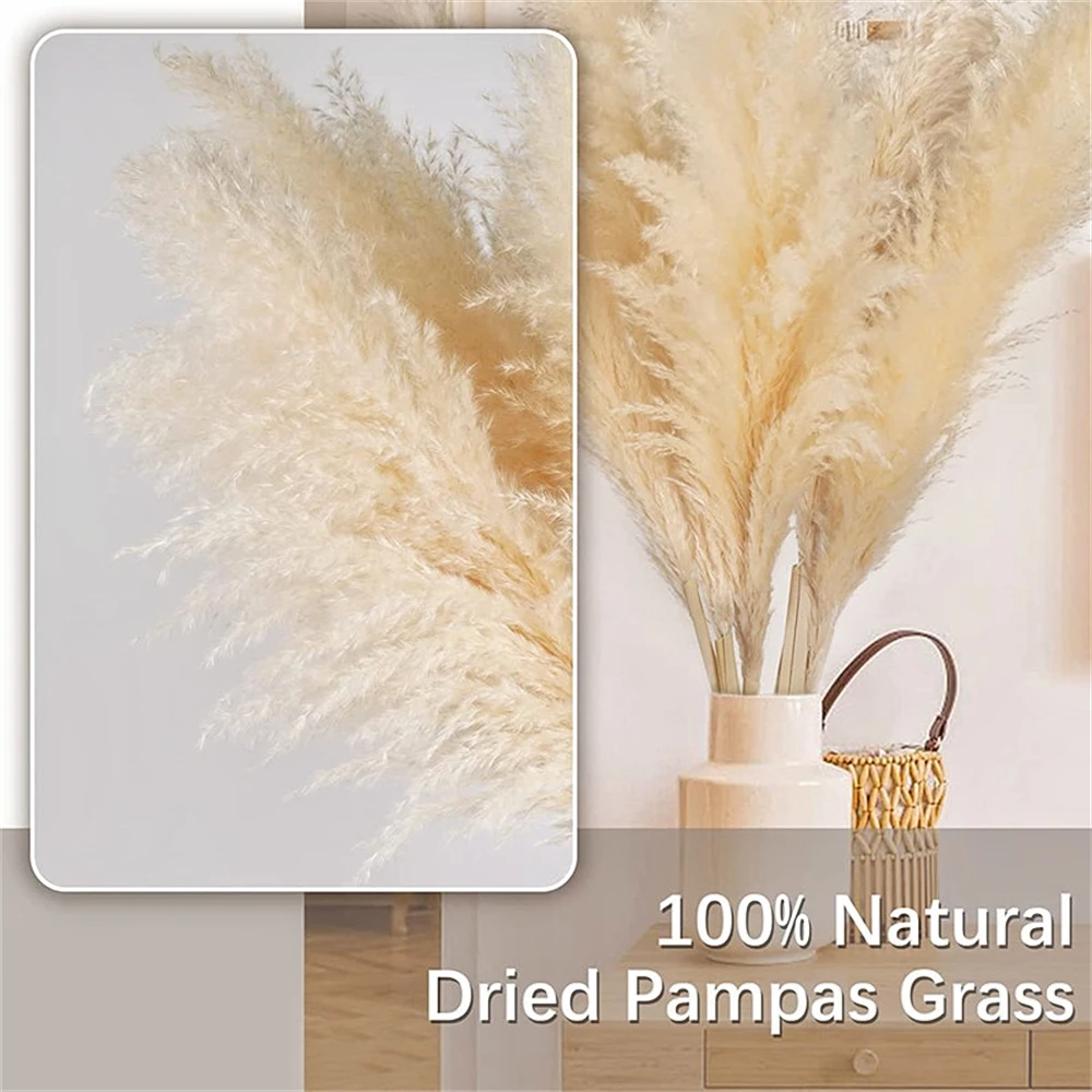 Dried Flower Bouquets 80-120cm Tall Pampas Grass Fluffy Large Natural Dried Flowers Bouquet Boho Home Decor Gift Country Wedding Flowers Decorations