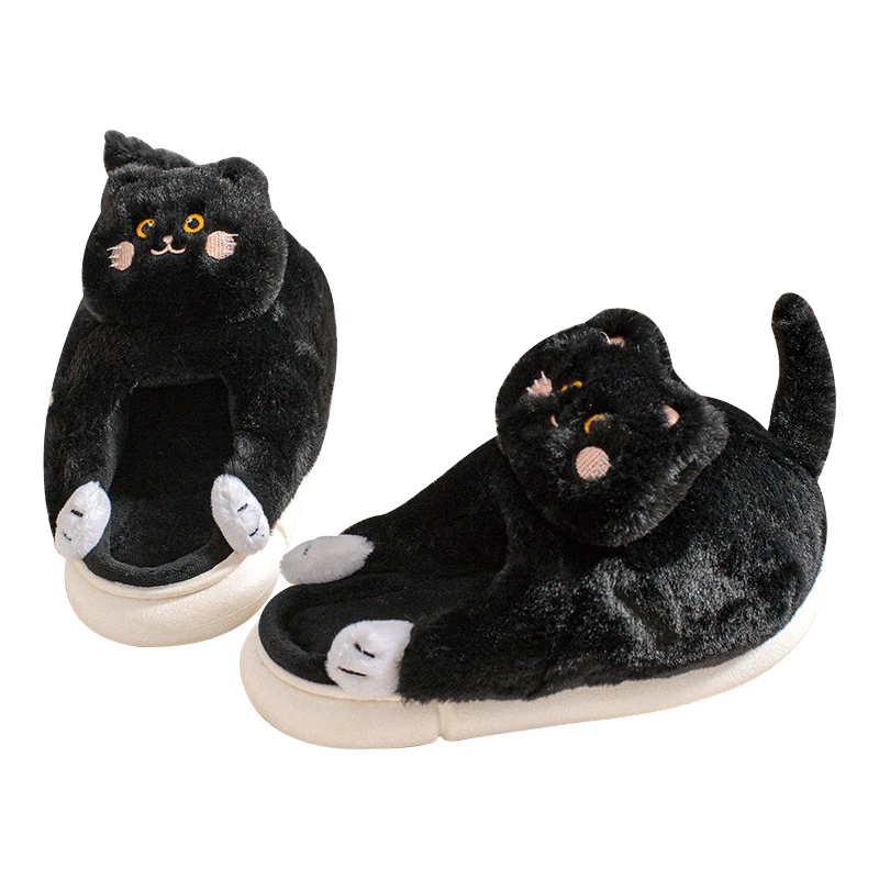 black cat
