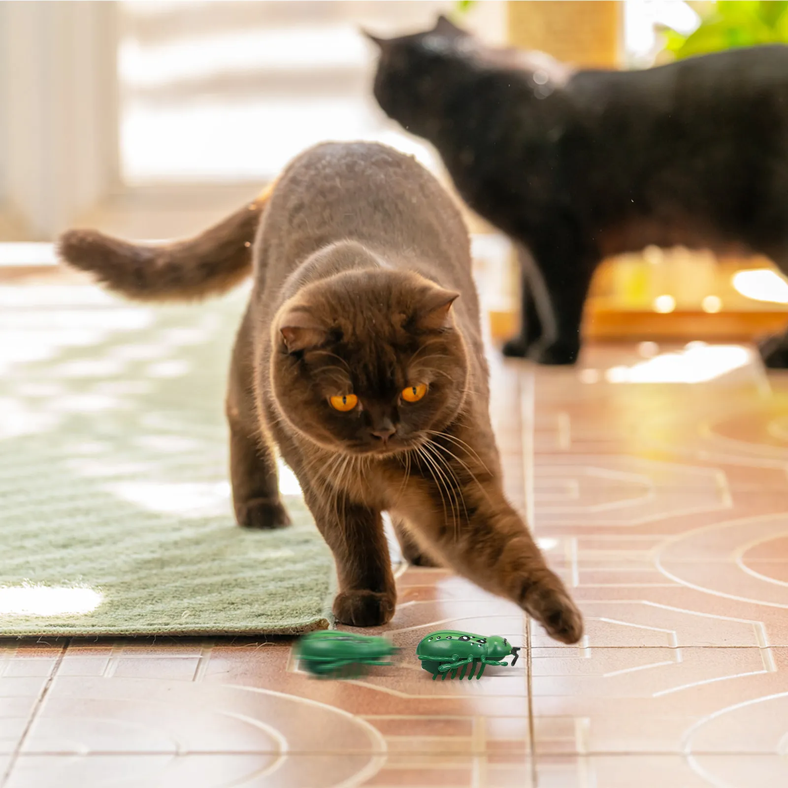 4개입 전동 움직이는 벌레 모양 시뮬레이션 자동 인터랙티브 고양이 장난감 미니 버튼 배터리 포함 고양이 티저 장난감