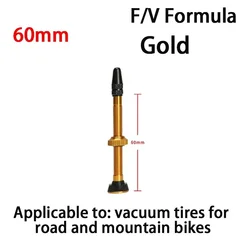 Premium MTB and Road Bike Tubeless Valve Nozzle with Tire Plugs - Presta, 40mm & 60mm Options (60mm Gold 1pc)