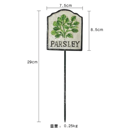PARSLEY