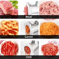 Commercial and household multi-function fully automatic electric meat grinder grinder and slicer  WG-22 2