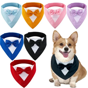 Bow Tie Collar