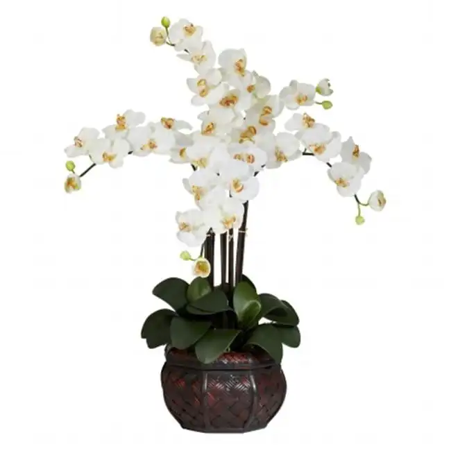 

Phalaenopsis with Decorative Vase Artificial Flower Arrangement, Cream