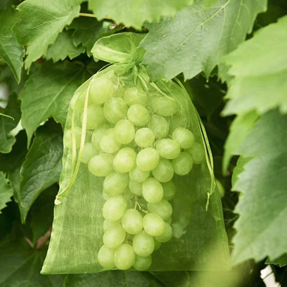 Fruit Protection Bag Garden Insect-proof And Bird-proof Bagging Grape Apple Breathable Pocket 24 Colors 6 Sizes Available 25PCS fruit grow bags fruit protection bags planting bags plant grow bags