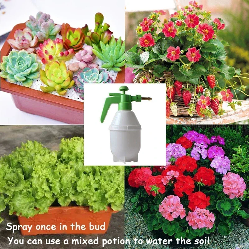 1kg Potassium Dihydrogen Phosphate Leaf Surface Fertilizer Promote Plant Growth Improve Bonsai Flower Immunity For Garden Use