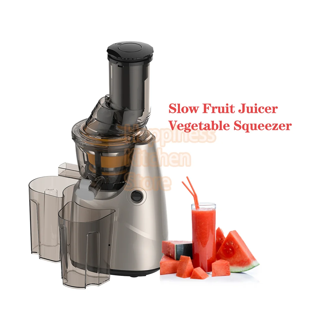 Compact Slow Juicer Machine Electric Juicer Cold Press Squeezer Vegetable  800ML