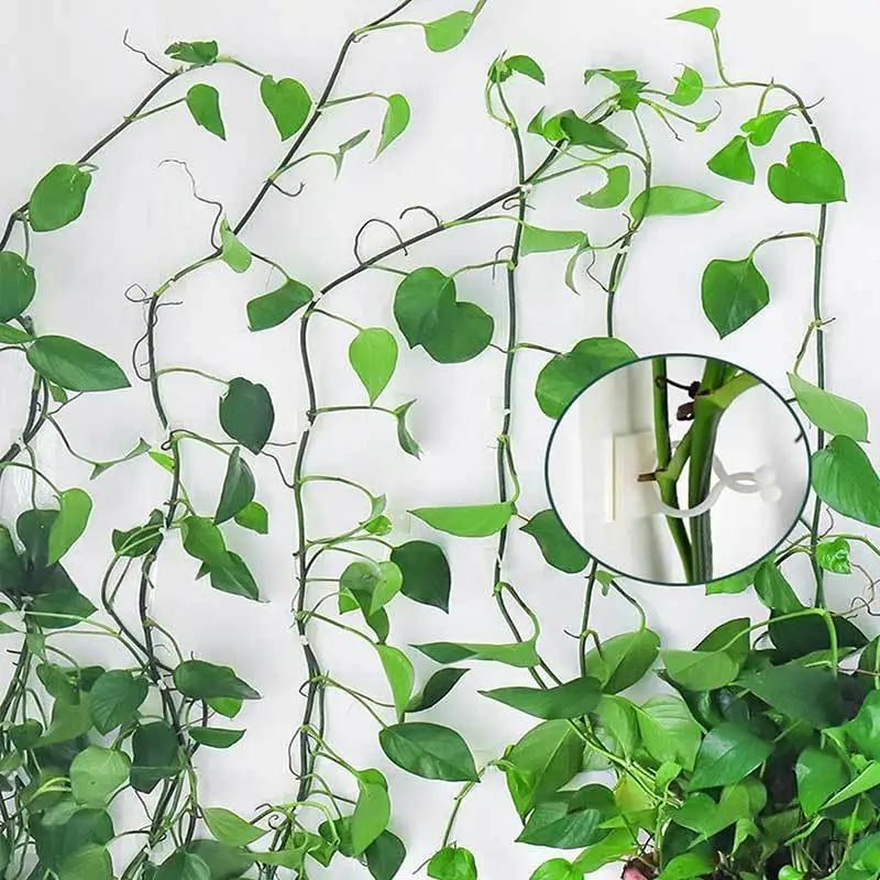 Plant Climbing Wall Self-Adhesive Fixed Buckle Hook Fastener Tied Fixture Vine Buckle Hook Garden Plant Wall Climbing Vine Clips plant clips,plastic plant clips