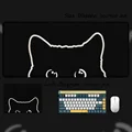 Cat-06