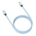 C to C 100W Blue