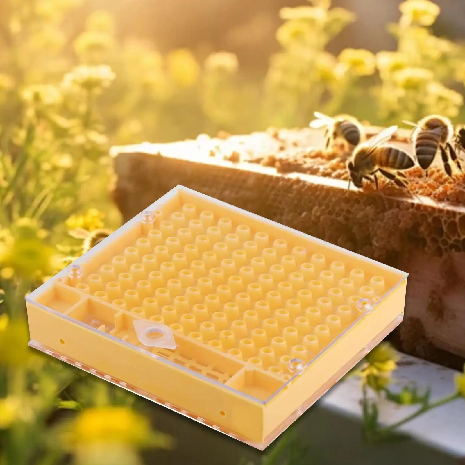 Queen Rearing Box Queen Bee Lay Eggs Cage Multipurpose Beekeeping Rearing Equipment for Outside Gate Apiculture Accessories
