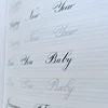 Beginner Calligraphy Practice Workbook - Elegant Carving Script Copybook -14+age group, learn exquisite writing skills 3