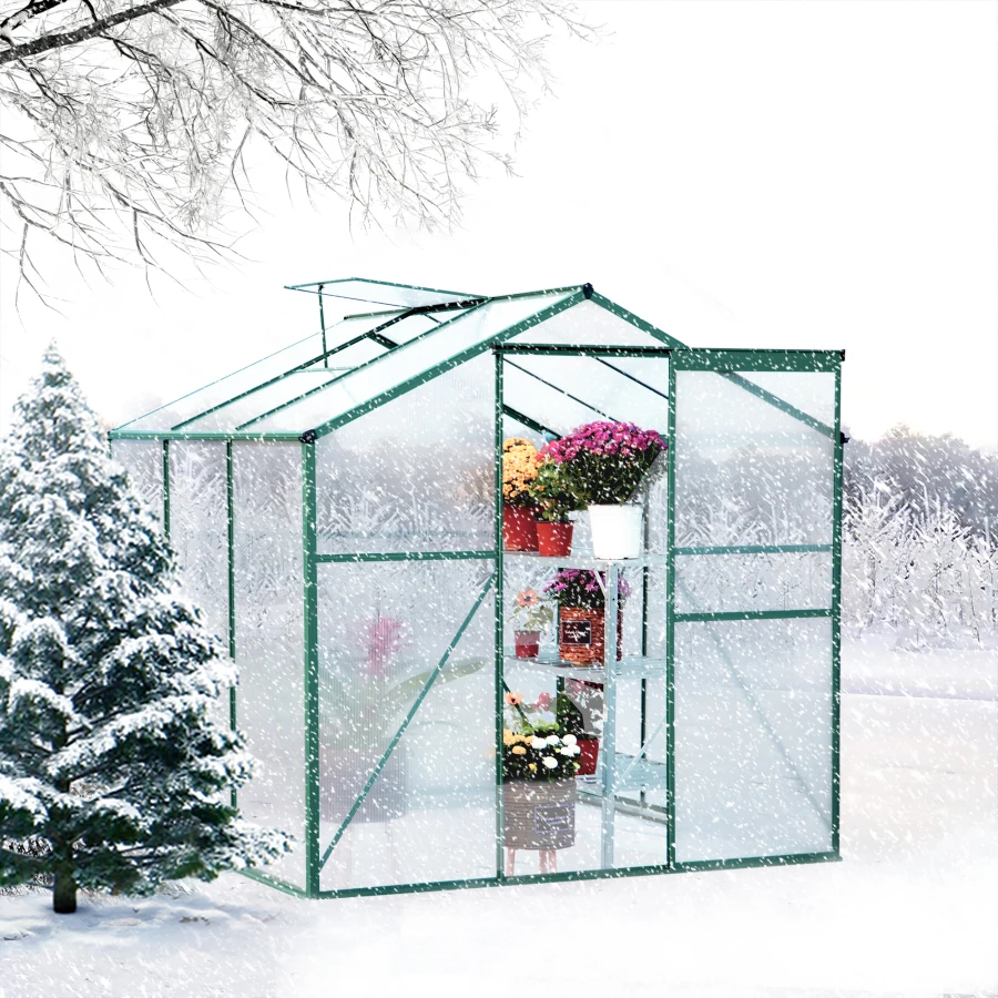 Greenhouse cover in winter