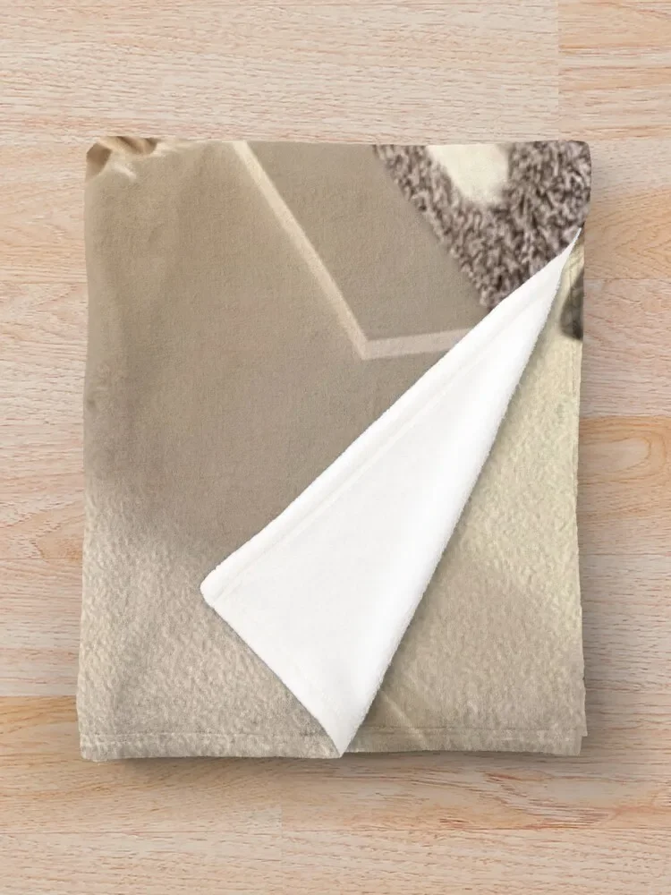 ī�̿� ��ȣ ������ ���, ���Ÿ� �β��� �ڽ����� �ִϸ��̼� ���