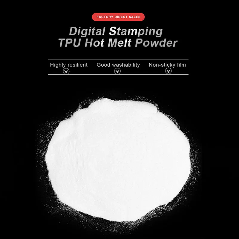 Fcolor 1000G Dtf Hot Melt Powder Adesivo Nero O Bianco Per Stampante Epson Dtf Direct To Film Tshirt Printing Machine Dtf Powder