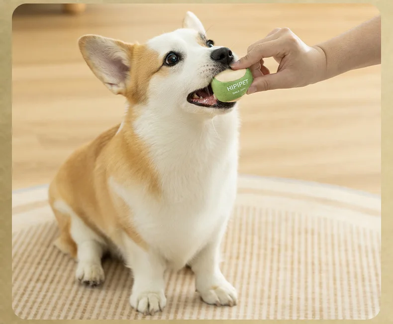 Dog Tennis Sports Sandpaper Racquet Toy Teddy - PeticaDeals
