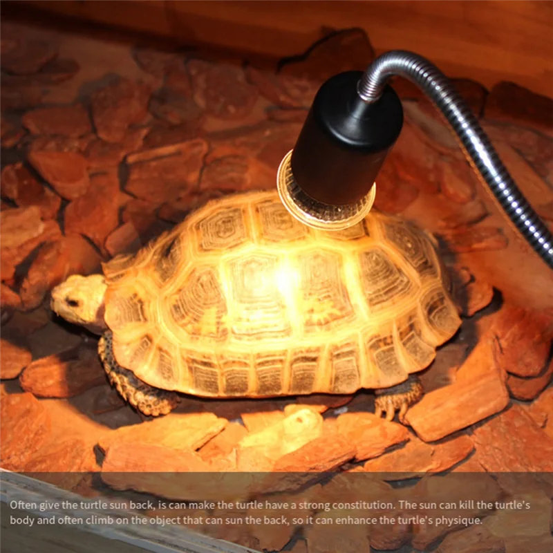 A82X-10PCS Reptile Lamp Bulb Turtle Basking UV Light Bulbs Heating Light Full Spectrum Sunlamp For Amphibians