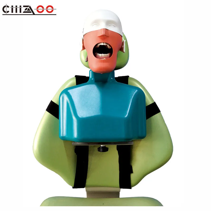 

U3 de ntal Simulator Senior Manikin With Torso For Education