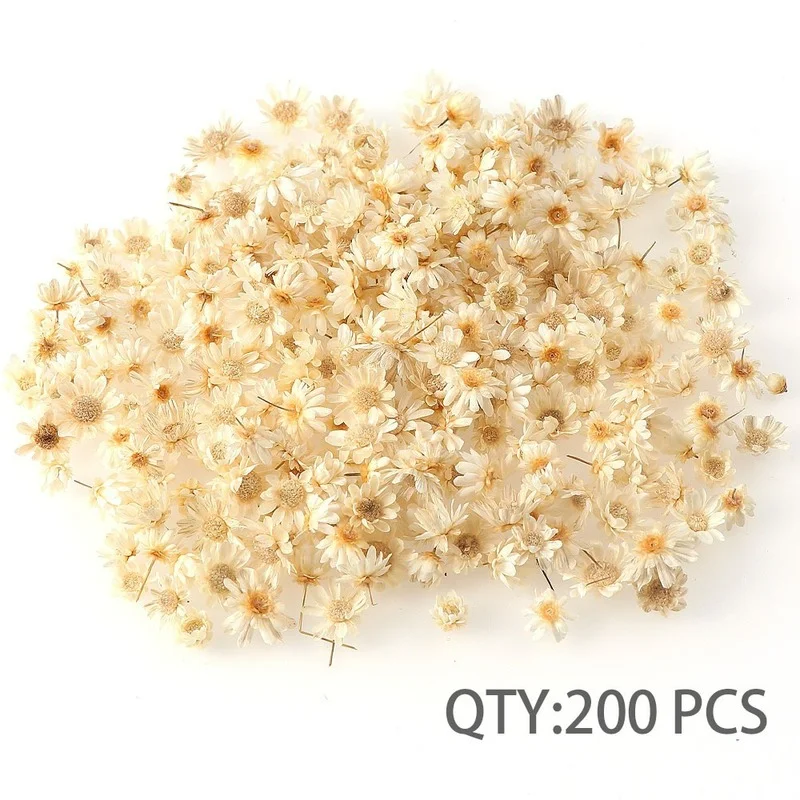 Hot Sale Dried Flowers Diy Art Craft Epoxy Resin Candle Making Jewellery  Home Party Decorative Dry Press Flowers Photo Prop - AliExpress