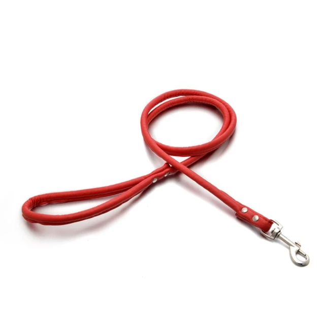 Dog leash leather multicolor pet leash small and medium-sized dog leash 4