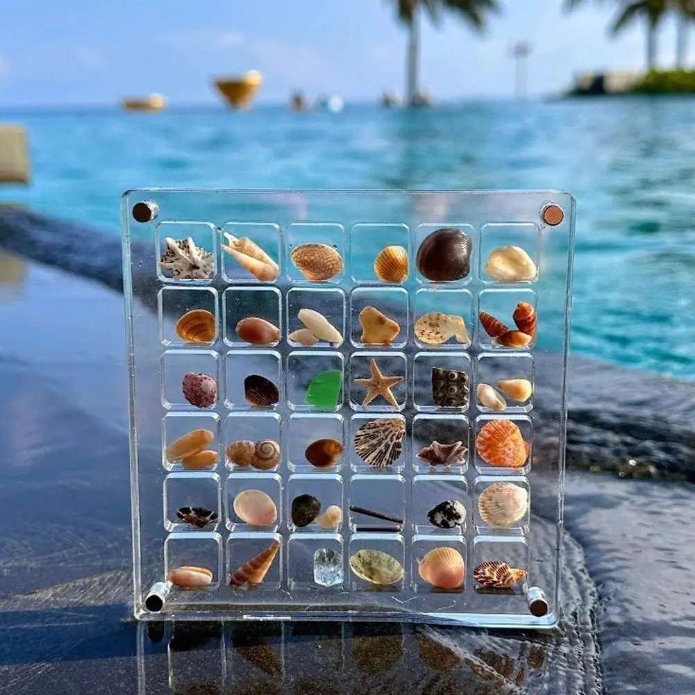 36-Grid Acrylic Seashell Display Box with Magnets Durable Starfishs Trinket Storage Case for Bead Nail Jewelry Chic Gife 2